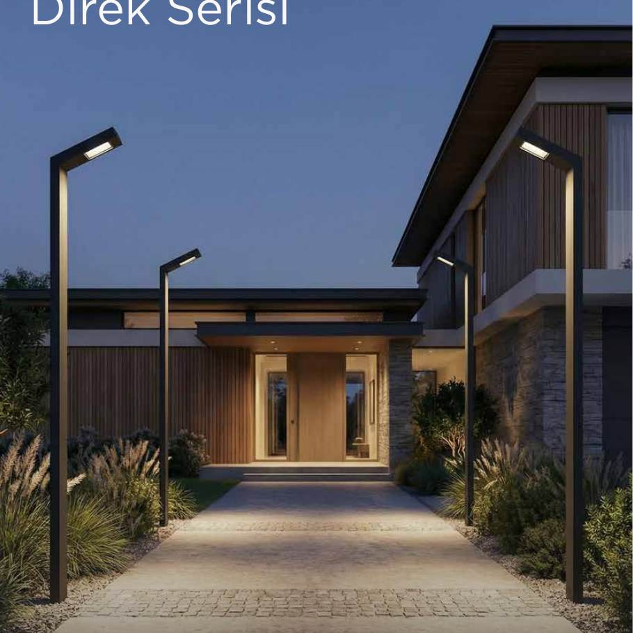 NOCHE Direk Serisi